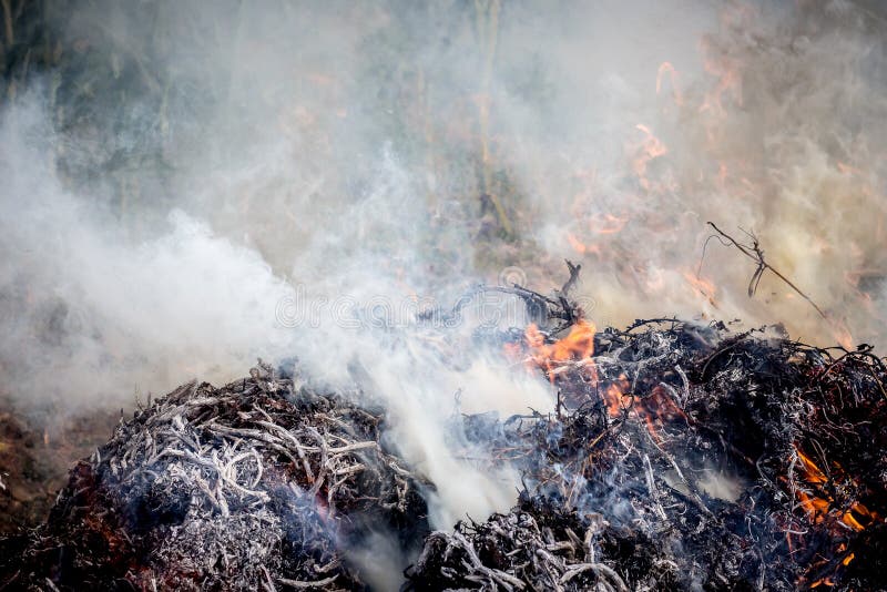 Fire on the landfill. Pollution of the environment. Fire on the landfill. Pollution of the environment