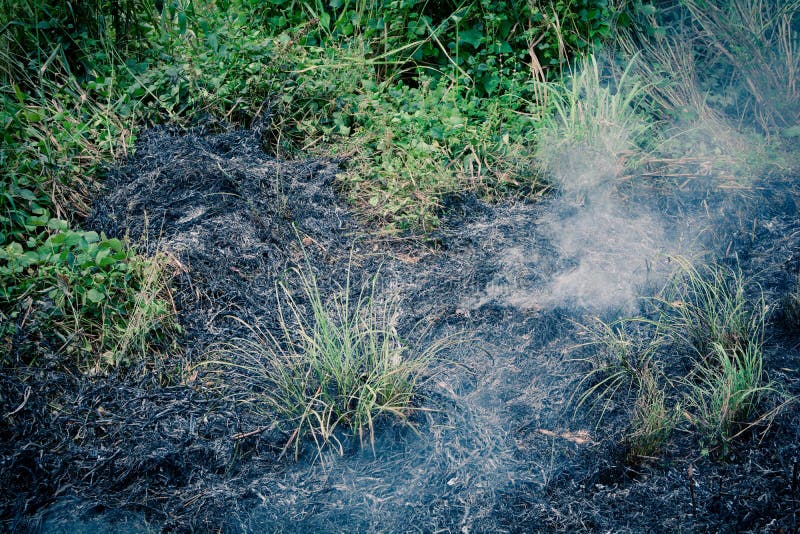 Feuer im Gras lizenzfreie stockbilder Feuer im Gras lizenzfreie stockbilder