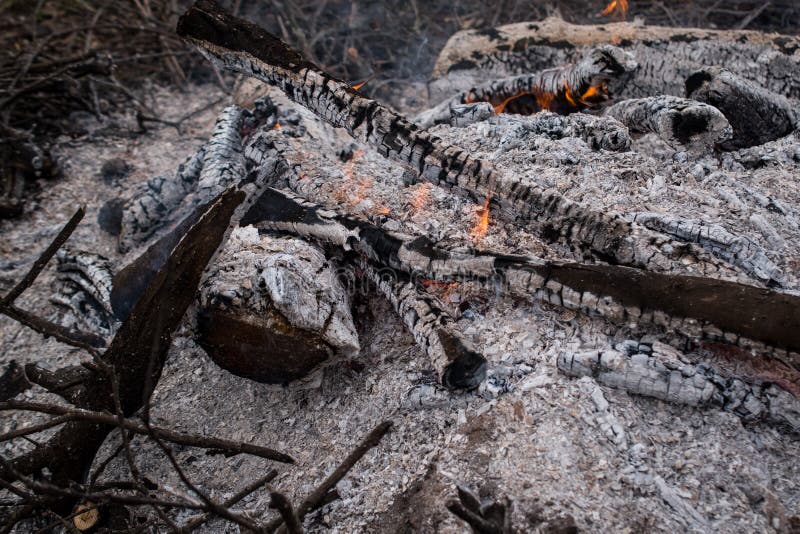 Feuer, Kohlen und Asche im Wald stockfoto Feuer, Kohlen und Asche im Wald stockfoto