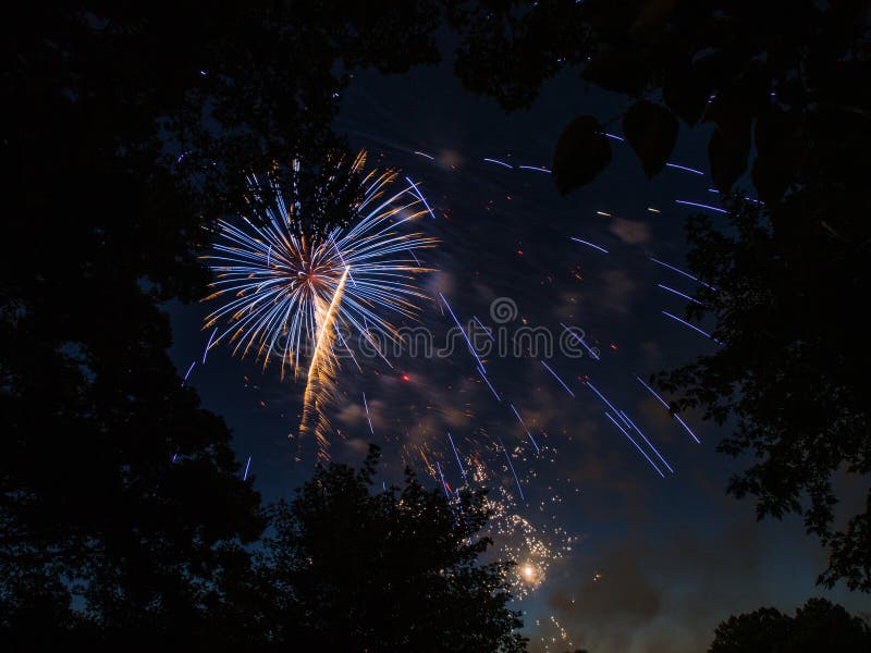 Feuerwerk birst hinter Bäumen stockfotografie Feuerwerk birst hinter Bäumen stockfotografie