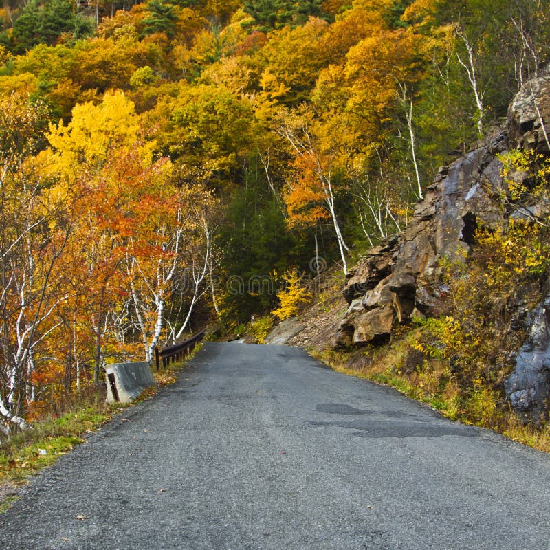 Feuillage d'automne image stock Feuillage d'automne image stock
