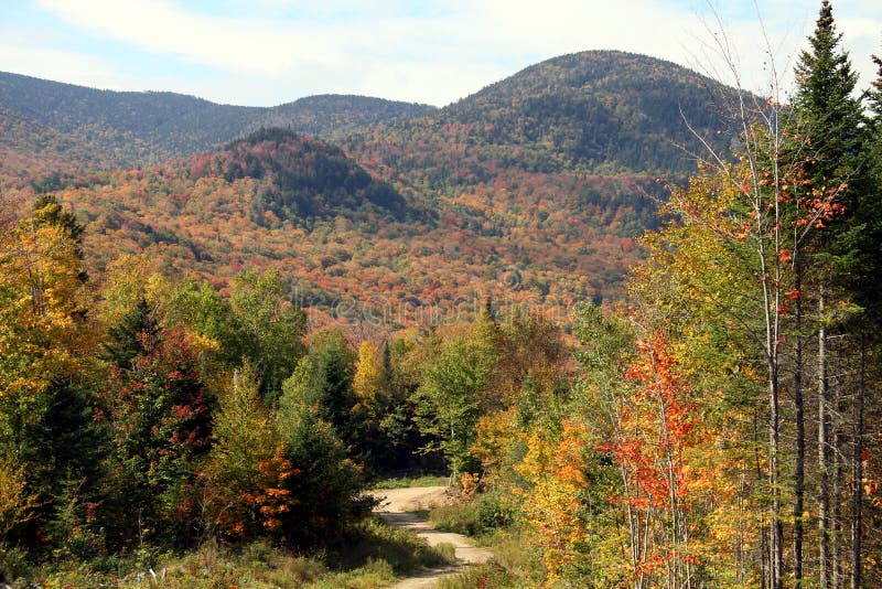 Feuillage d'automne dans New Hampshire