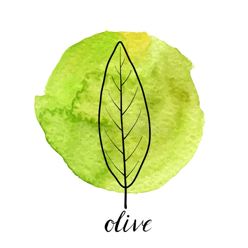 Feuille de vecteur d'olivier illustration libre de droits Feuille de vecteur d'olivier illustration libre de droits