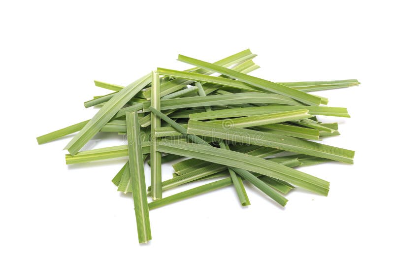 Feuille verte d'herbe de schénanthe ou de citronnelle Tir de studio d'isolement images stock