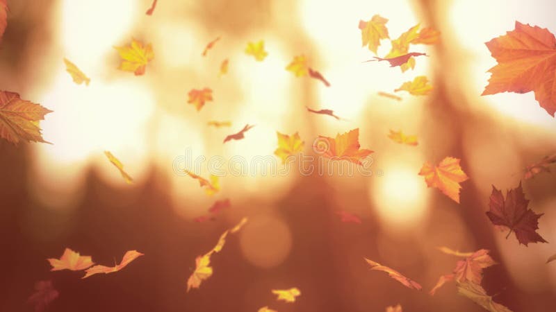 Feuilles d'automne en baisse illustration libre de droits