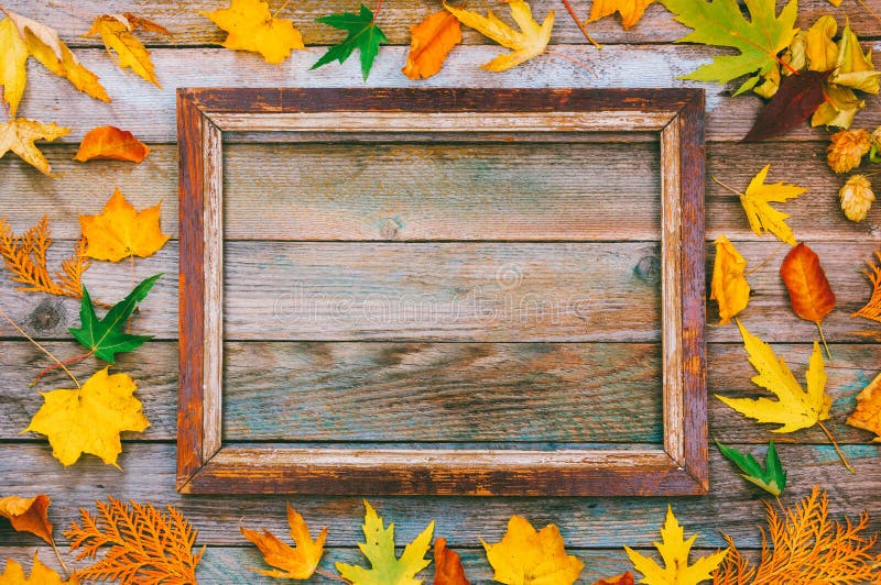 Feuilles d'automne et cadre de tableau lumineux sur le fond en bois avec l'espace de copie raillez pour le texte, félicitations, photo libre de droits Feuilles d'automne et cadre de tableau lumineux sur le fond en bois avec l'espace de copie raillez pour le texte, félicitations, photo libre de droits
