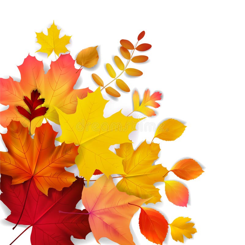 Feuilles d'automne jaunes, oranges, rouges illustration de vecteur