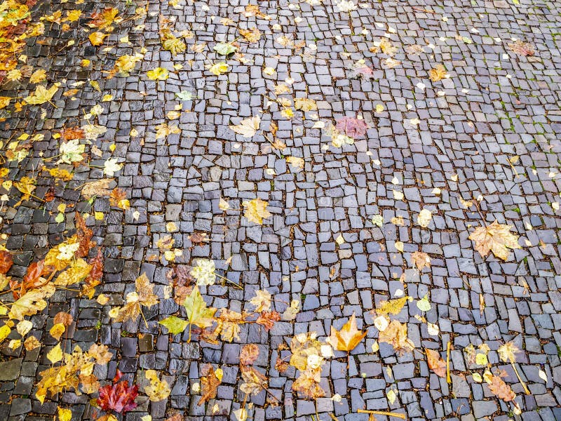 Feuilles d'automne sur une rue de pavé rond à Aix-la-Chapelle Allemagne, fond de texture image stock Feuilles d'automne sur une rue de pavé rond à Aix-la-Chapelle Allemagne, fond de texture image stock