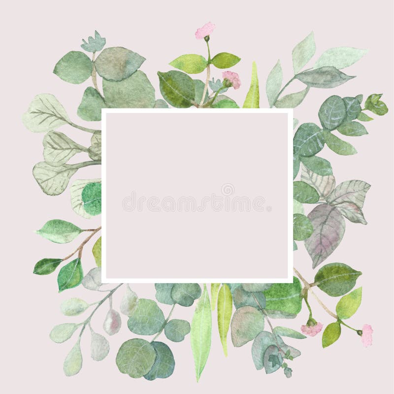 Feuilles d'eucalyptus sur le fond blanc Vue faite de branches d'eucalyptus Configuration plate, vue supérieure, l'espace de copie illustration stock Feuilles d'eucalyptus sur le fond blanc Vue faite de branches d'eucalyptus Configuration plate, vue supérieure, l'espace de copie illustration stock