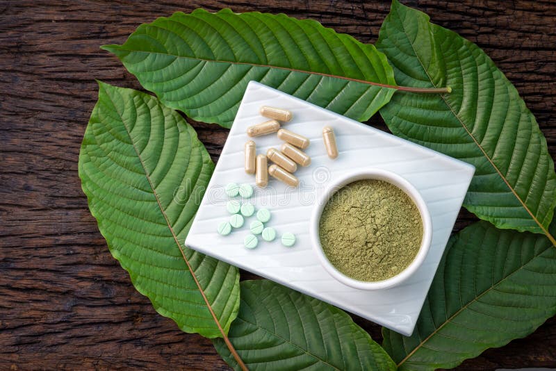 Feuilles de speciosa ou de kratom de Mitragyna avec les produits pharmaceutiques dans les pilules, les capsules et la poudre dans image libre de droits Feuilles de speciosa ou de kratom de Mitragyna avec les produits pharmaceutiques dans les pilules, les capsules et la poudre dans image libre de droits