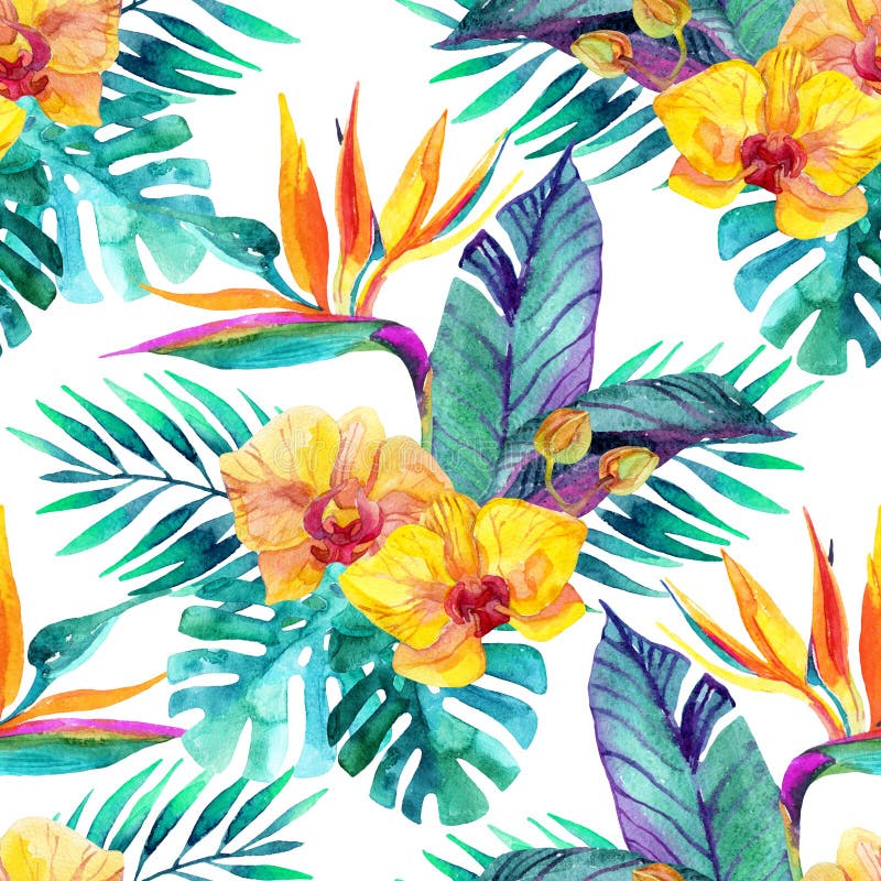 Feuilles et fleurs tropicales Fond de conception florale illustration libre de droits
