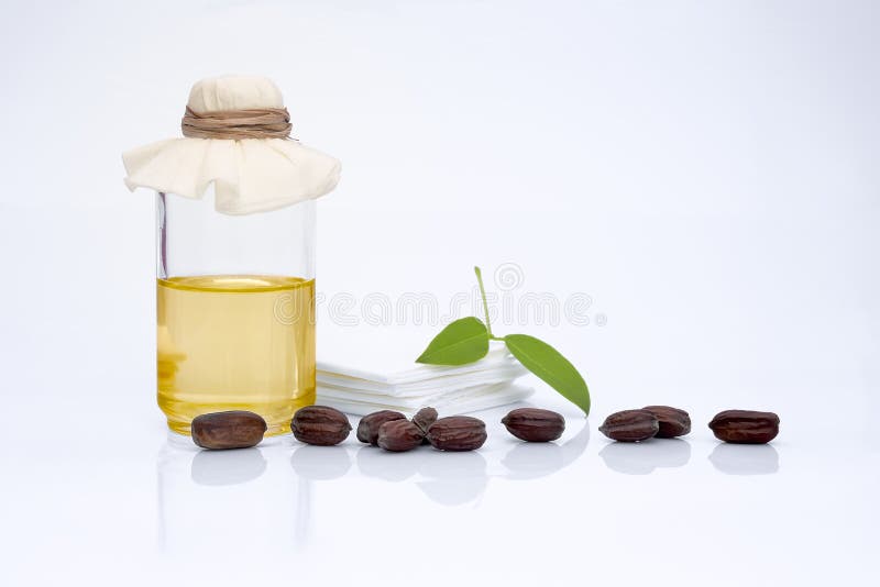 Feuilles, graines et pétrole chinensis de Simmondsia de jojoba photo stock Feuilles, graines et pétrole chinensis de Simmondsia de jojoba photo stock