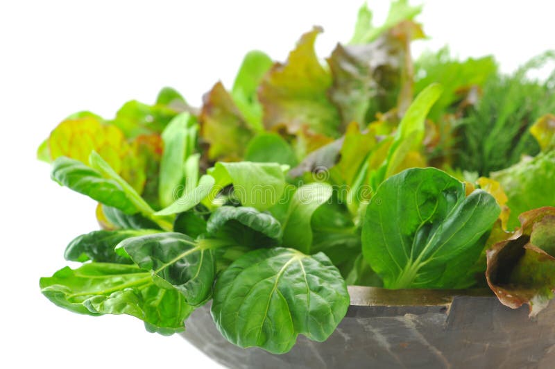 Mix organic salad leaves in the wooden bowl. Mix organic salad leaves in the wooden bowl
