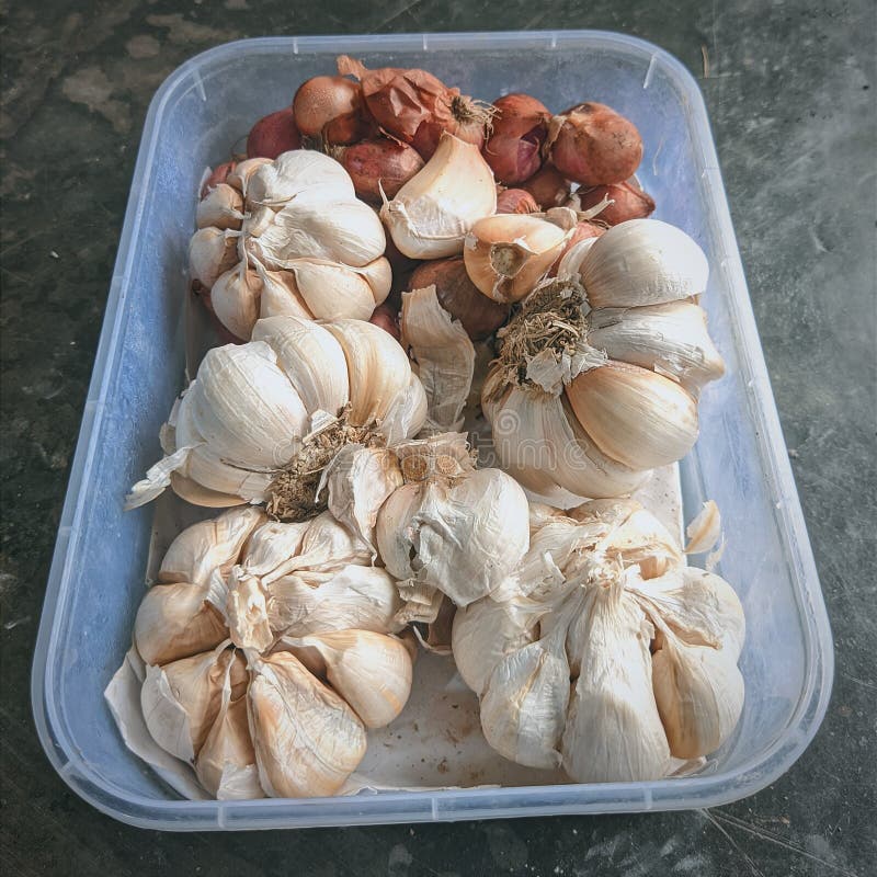 Two Cloves of Garlic in the Ground Stock Image Image of pile, farmer