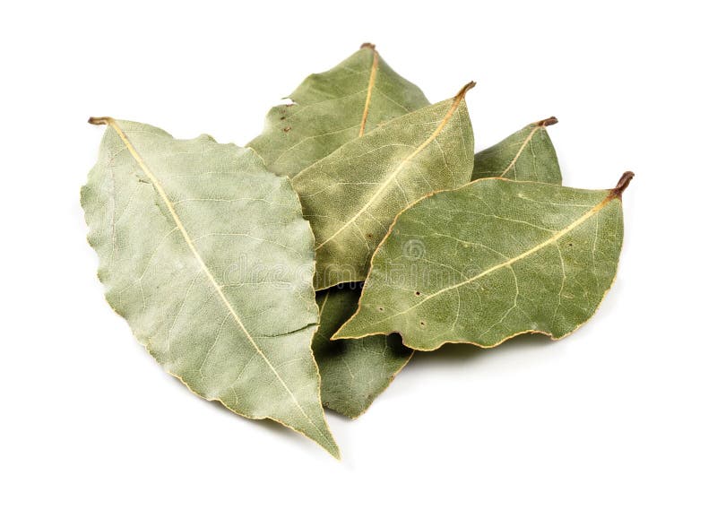 Few Dried Bay Laurel Leaves Closeup on White Stock Photo Image of