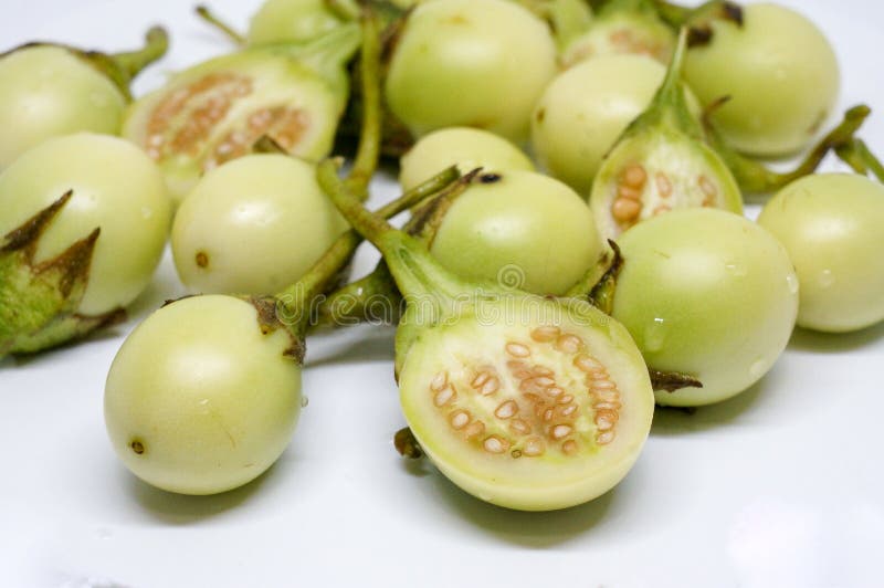 Closeup on thai eggplants stock image. Image of cuisine 143499219