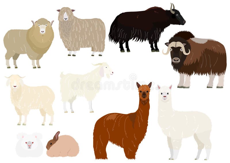 Animals Fiber Stock Illustrations – 102 Animals Fiber Stock Illustrations, Vectors & Clipart - Dreamstime Animals Fiber Stock Illustrations – 102 Animals Fiber Stock Illustrations, Vectors & Clipart - Dreamstime