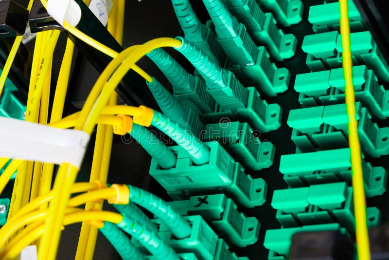 Fiber Optic Cables Connected To an Optic Ports Stock Photo Image of cable, connection 264056690