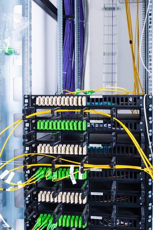 Fiber Optic Cables Connected To an Optic Ports Stock Image Image of