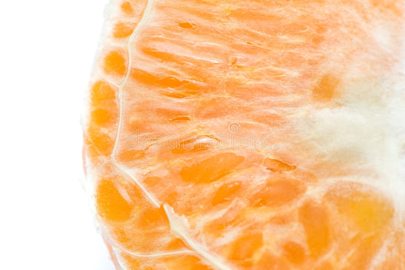 Fiber of Orange Fruit Macro Shot Stock Image Image of nature, sweet