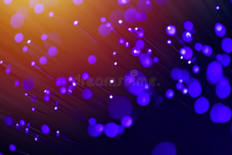 Fibras ópticas en púrpura, cierre para arriba con el bokeh, llamarada caliente de la lente foto de archivo libre de regalías Fibras ópticas en púrpura, cierre para arriba con el bokeh, llamarada caliente de la lente foto de archivo libre de regalías