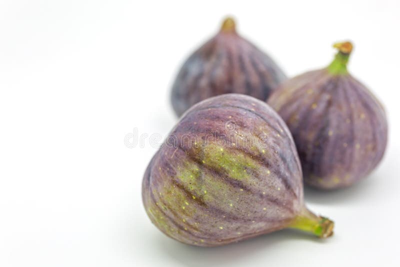 Fichi immagine stock Fichi immagine stock
