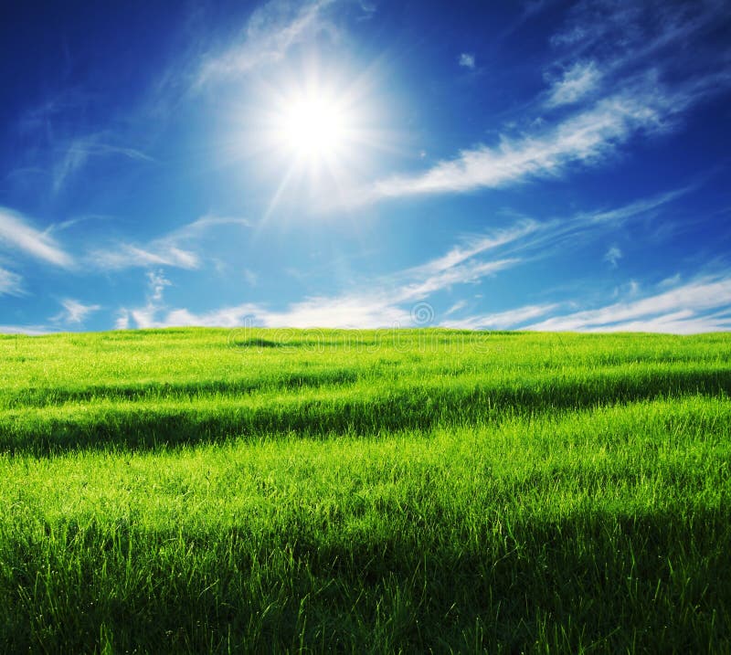 Country Path between Fields Stock Photo - Image of alfalfa, agriculture: 5904431