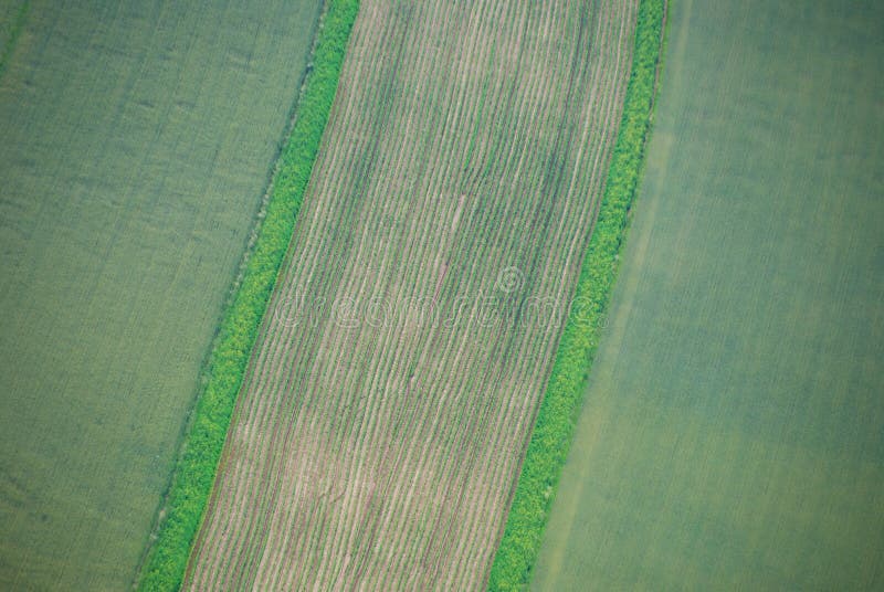 Field from above stock photography