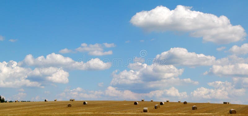 Field and blue sky
