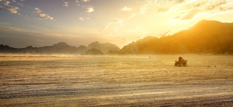 Field in desert