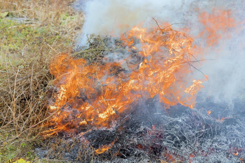 Field of Dry Grass on Fire during Spring in Ecological Catastrophe with