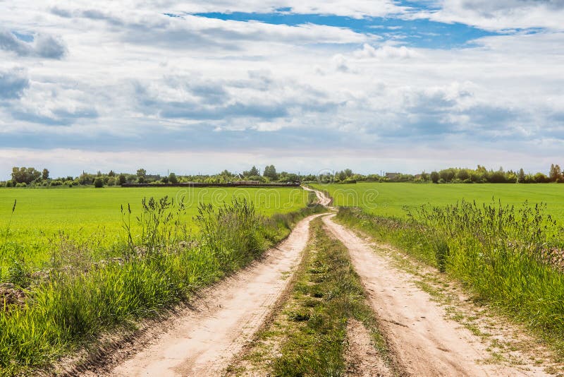 Field at the Edge of the Village, Grass Stock Photo Image of sunlight