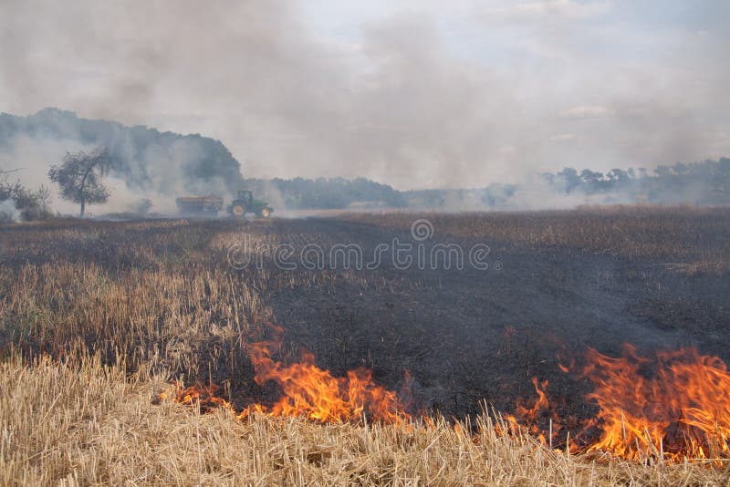 Field Fire stock photo. Image of firefighter, farm, fighting 16940628