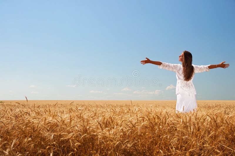field flickavete arkivbild field flickavete arkivbild
