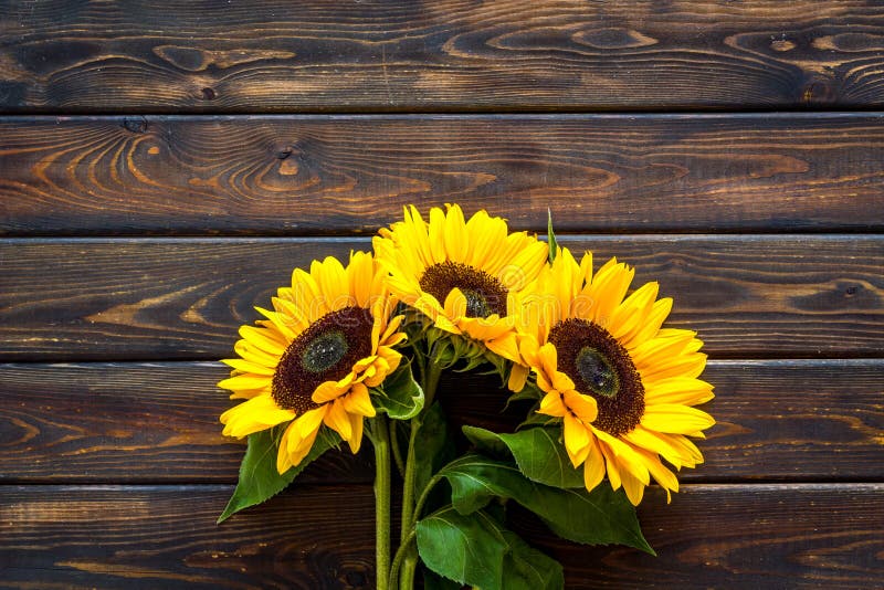 Field Flowers Design with Sunflower Bouquet on Wooden Background ...