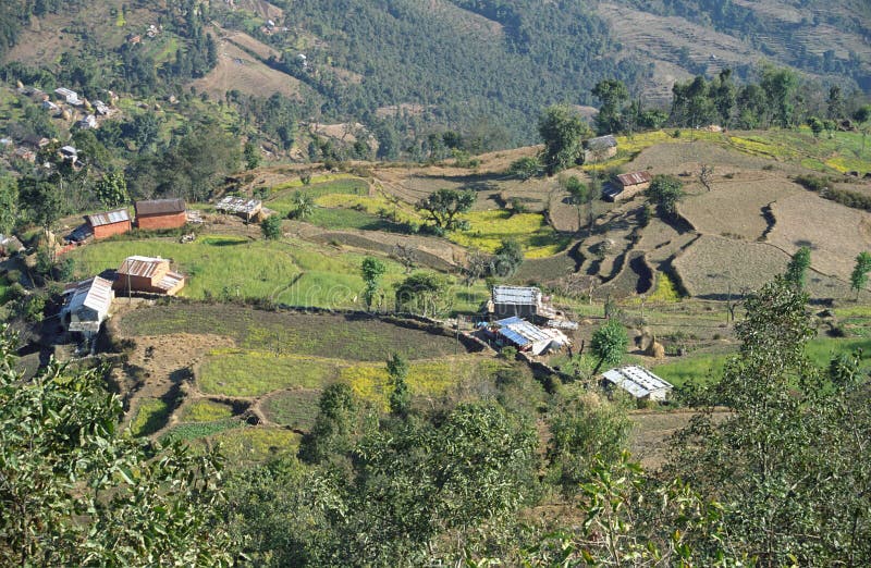 Field garden royalty free stock photography