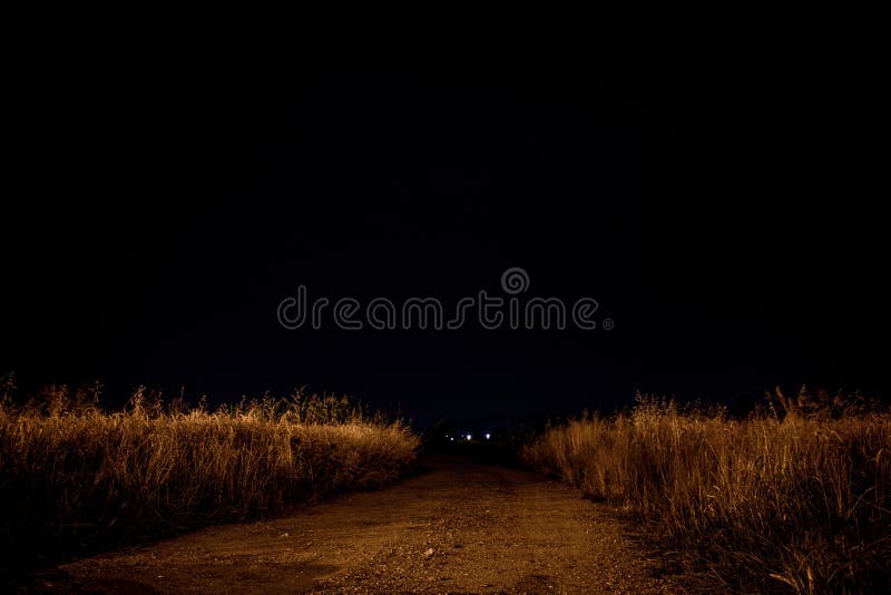 Field of grass at night stock photo. Image of lonely 175418754