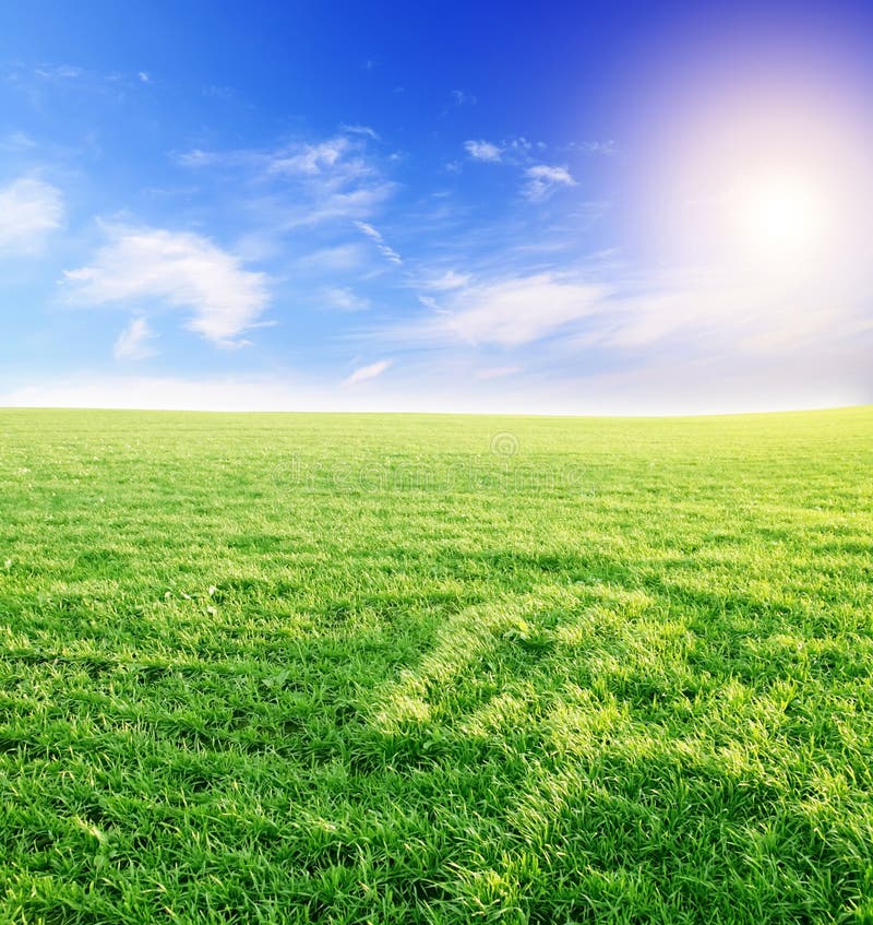 Landscape field of green grass and blue cloudy sky