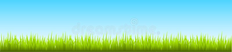 Field, green grass with blue sky - vector vector illustration