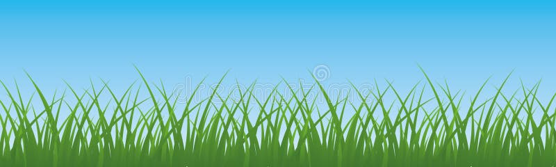 Field, green grass with sky background - vector royalty free illustration