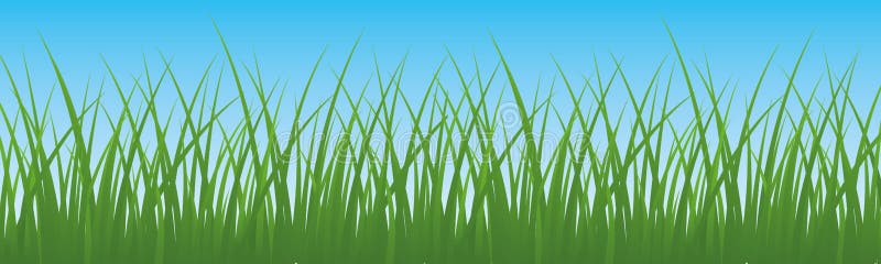 Field, green grass with sky background - vector stock illustration