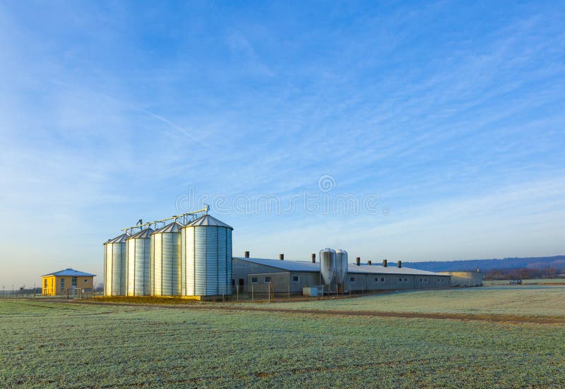 Field in harvest with silo