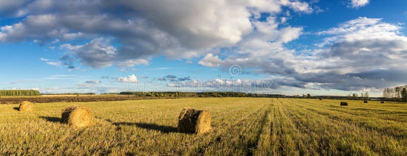 Field, hay, harvest, farm, rural, stack, straw, grass, autumn, earth, September, August, summer, farm, village, industry, agricult stock image Field, hay, harvest, farm, rural, stack, straw, grass, autumn, earth, September, August, summer, farm, village, industry, agricult stock image