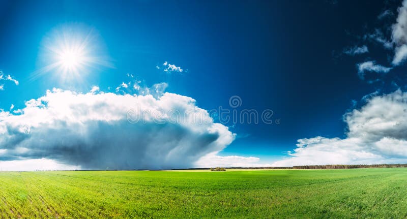 Field Or Meadow Landscape With Green Grass Under Scenic Spring Blue Sky With White Fluffy Clouds And Shining Sun