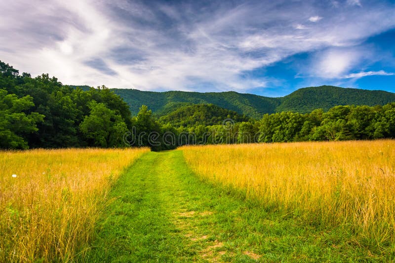 Field and mountains at Cade's Cove, Great Smoky Mountains National Park, Tennessee