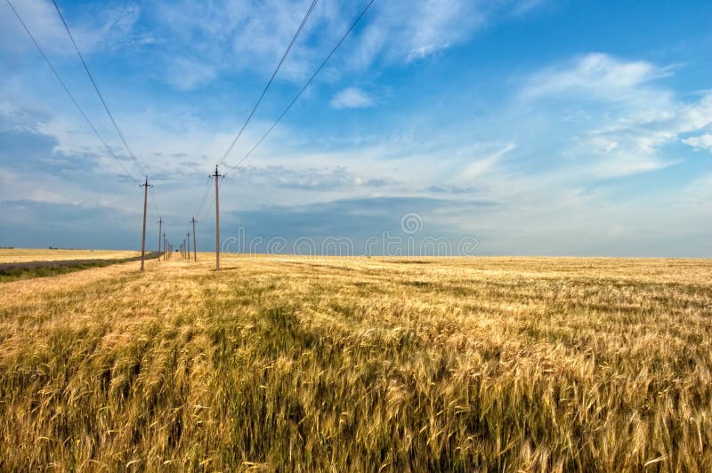 Field and powerlines. Urbanization progress. Pillar column garden stock images, royalty-free photos and pictures
