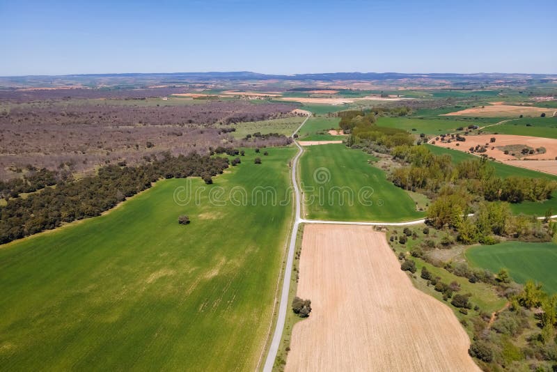 Field Road Circulating between the Crops Planted in the Plain. Stock