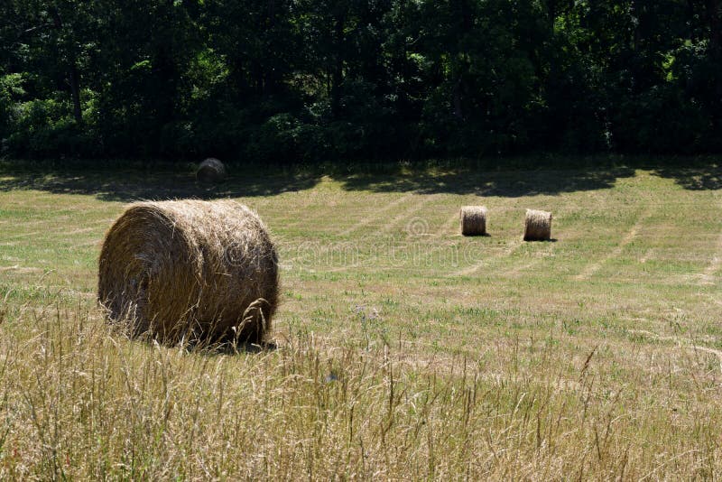 20,409 Rural Stock Photos Free & RoyaltyFree Stock Photos