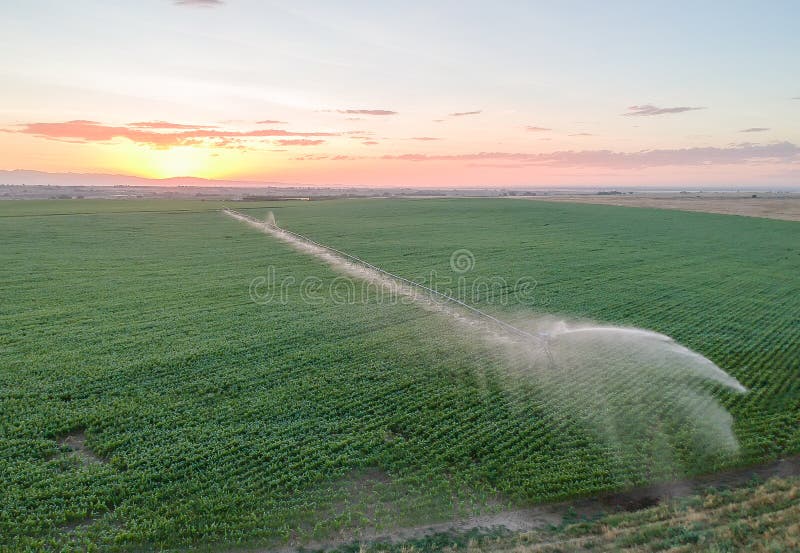 230 Sunset Sprinklers Stock Photos Free & RoyaltyFree Stock Photos