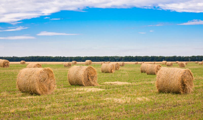 Field with straw bale